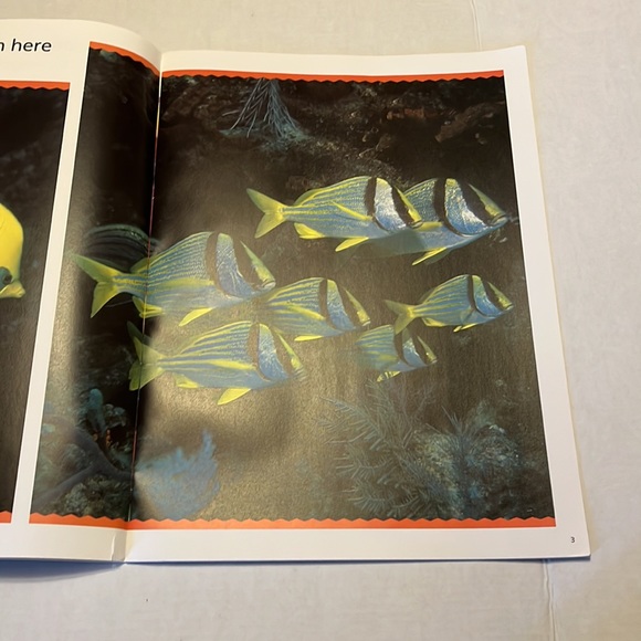 BIG BOOK: More or Less - Picture 3 of 6